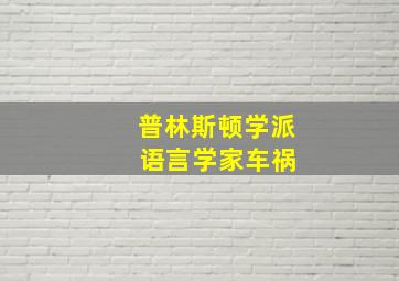 普林斯顿学派 语言学家车祸